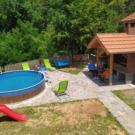 Vila Zubor Crni Vrh Экстерьер фото
